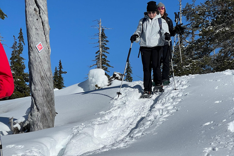 Schneeschuhwandern an der Spitze der Sea to Sky Gondel