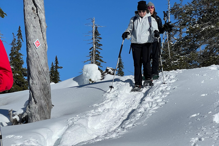 Schneeschuhwandern an der Spitze der Sea to Sky Gondel