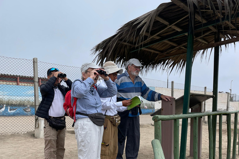 Lima silvestre: visita guidata a un rifugio naturale nel fiume Rímac
