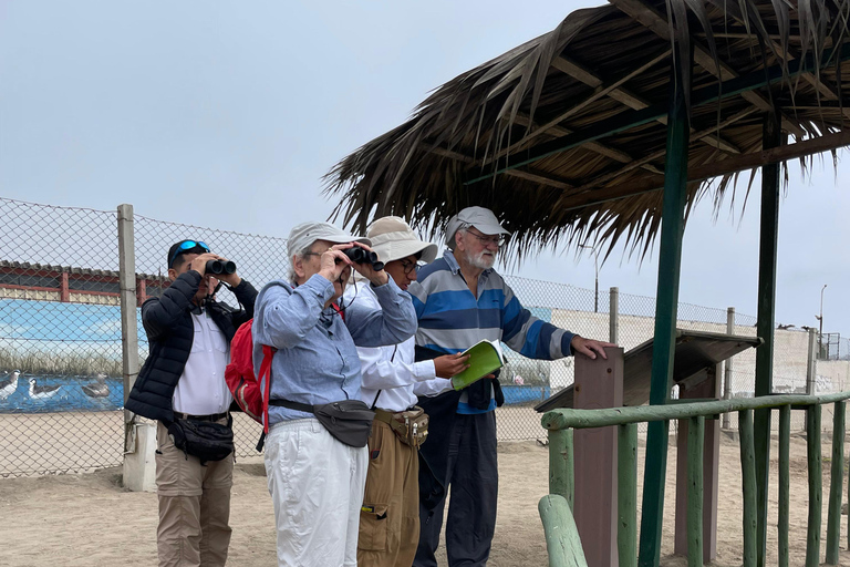 Lima silvestre: visita guidata a un rifugio naturale nel fiume Rímac