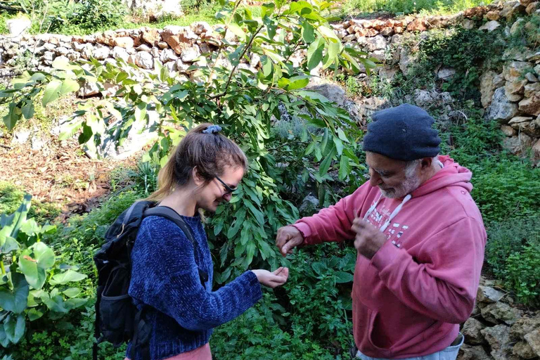 Chania: Traditionella byar, lokala producenter och hantverkare