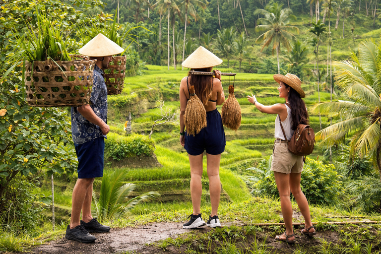 North Bali: Highlight Private Tour with Female Guide Private Tour Without Tickets