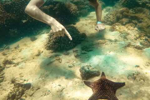 All-inclusive Snorkel in Balandras Hidden beaches, La Paz