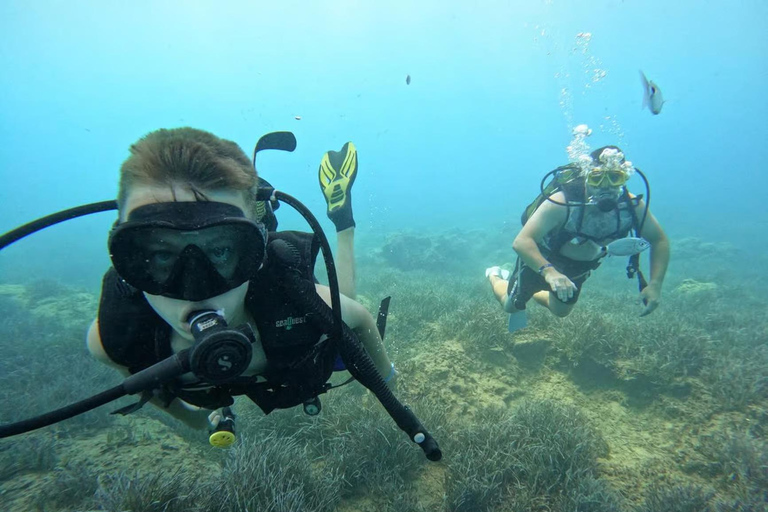 Side: Underwater Museum Scuba Diving Tour with Expert Diving Museum Scuba Diving Tour with Hotel Transfer