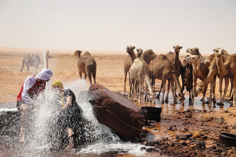 2 dagen en een nacht onder de sterren in Ksar Ghilane