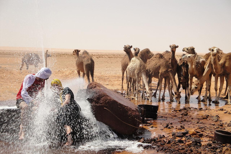 2 Tage und eine Nacht unter den Sternen in Ksar Ghilane