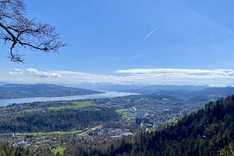 Zurich: Accompanied hike to Uetliberg