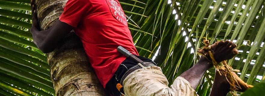 Zanzibar : forêt de Jozani, île-prison et visite d'une plantation d'épices