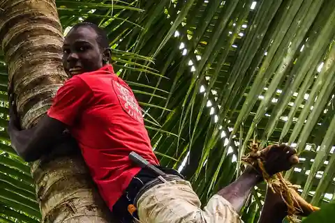 ZANZIBAR: Bosque de Jozani, visita a la granja de especias e isla Prisión