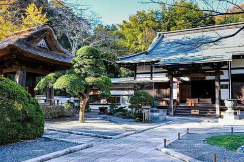 Tokyo: City One Day Private Customizable Top Places Tour