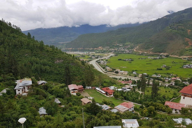 Private Thimphu Full or Half Day tour with Lunch