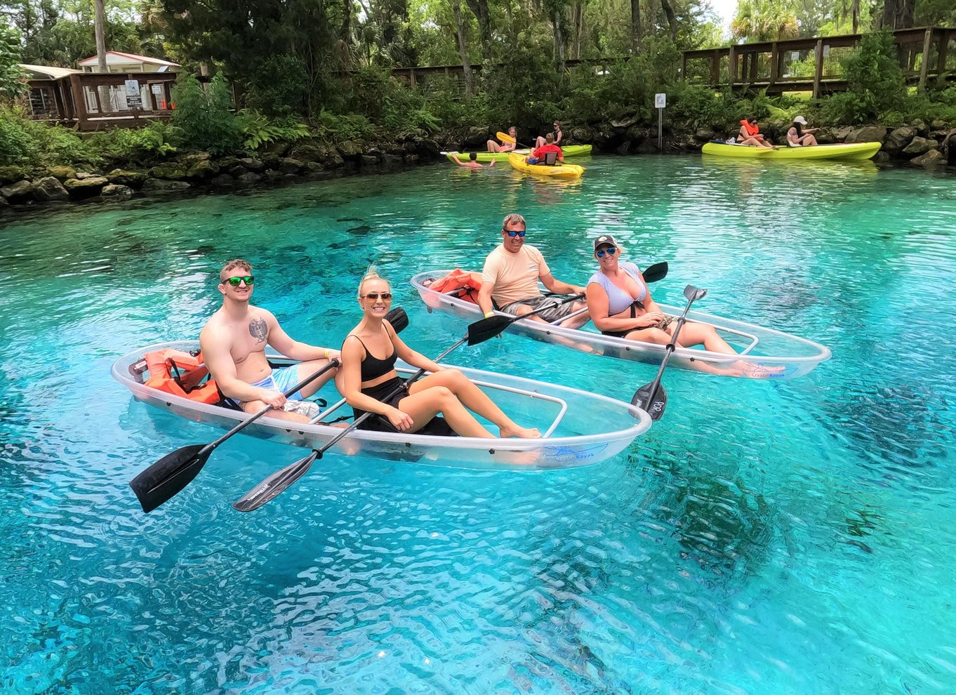 Three Sisters Springs og søkøer: Tur i kajak med gennemsigtig bund