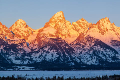 From Jackson Hole: Half-Day Grand Teton Winter Wildlife Tour