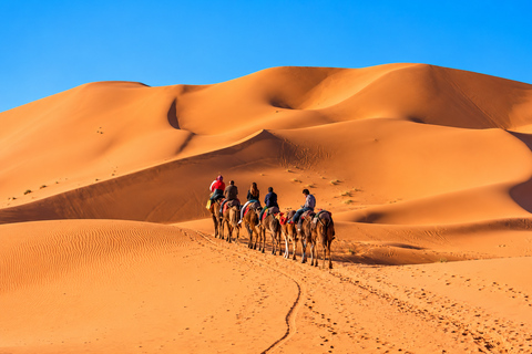From Fes: 3-Day Sahara Tour to Marrakech, 2 Desert Nights Option 2 — Luxury Desert Camp
