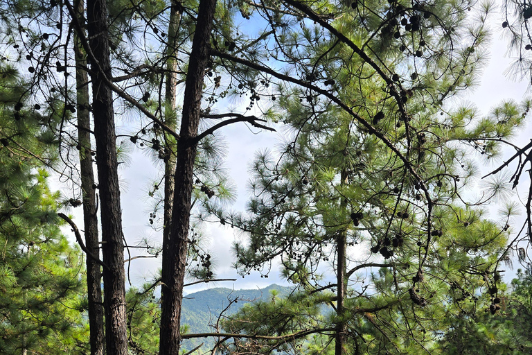 Cali: Hike to Jorobas de Camello, Views, and River Swim Cali: Hike to Jorobas de Camello, Scenic Views, and River Swim