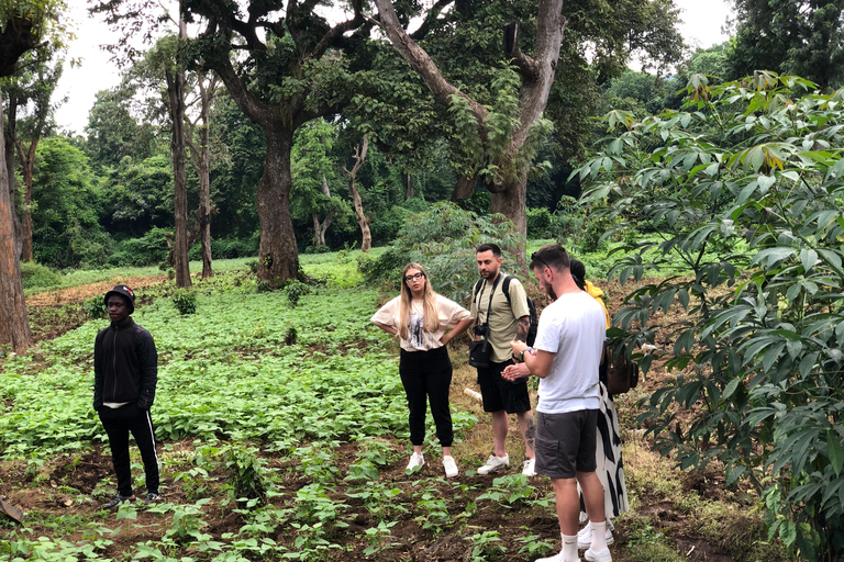 Tournée des cafés d&#039;Arusha