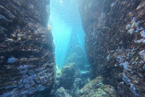 Islet of Vila Franca do Campo - Kayak Rental and Snorkeling