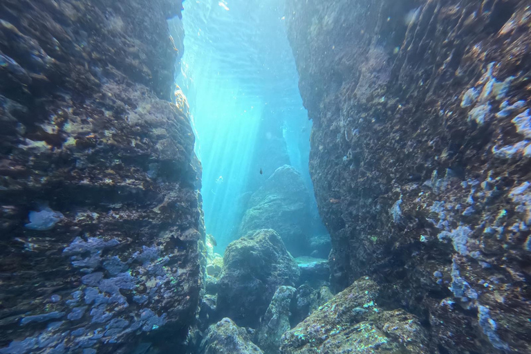 Islet of Vila Franca do Campo - Kayak Rental and Snorkeling