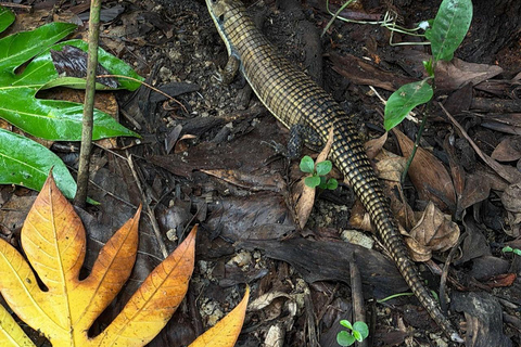 Zanzibar: Spice Farm, Stone Town or Jozani Forest with lunch Spice Farm Experience with lunch – (No Transport)