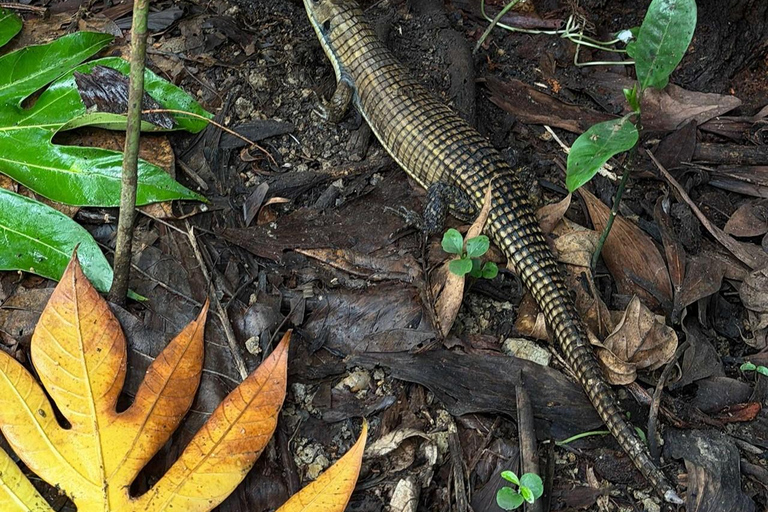 Zanzibar: Spice Farm, Stone Town or Jozani Forest with lunch Spice Farm Experience with lunch – (No Transport)