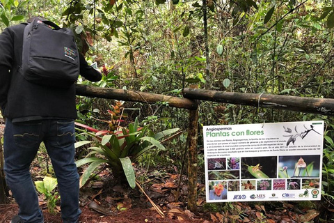 Medellin: Amazing Arvi Natural Reserve