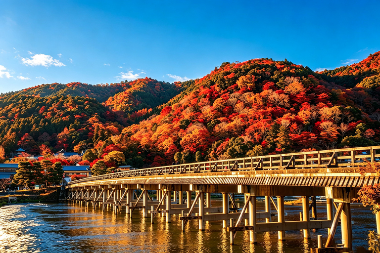 Kyoto: Arashiyama, Sanzen-in & Kifune Shrine Day Trip Departure from Osaka (Basic Package)