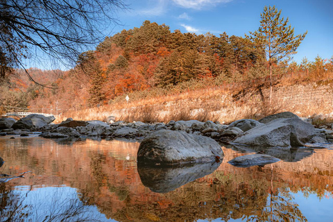 سيول: جولة يومية لمشاهدة أوراق الخريف في حديقة أودايسان أو دايدونسانجولة مشتركة لمشاهدة أوراق شجر 