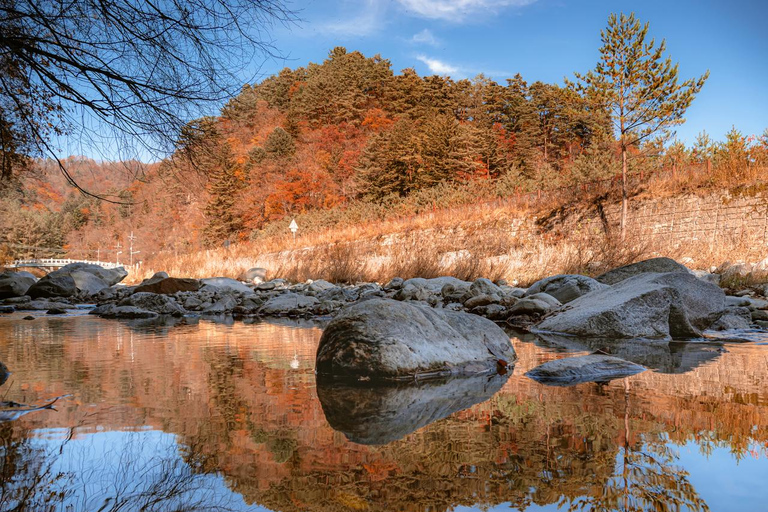 سيول: جولة يومية لمشاهدة أوراق الخريف في حديقة أودايسان أو دايدونسانجولة مشتركة لمشاهدة أوراق شجر 