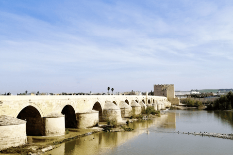 From Seville: Cordoba Private Day Trip