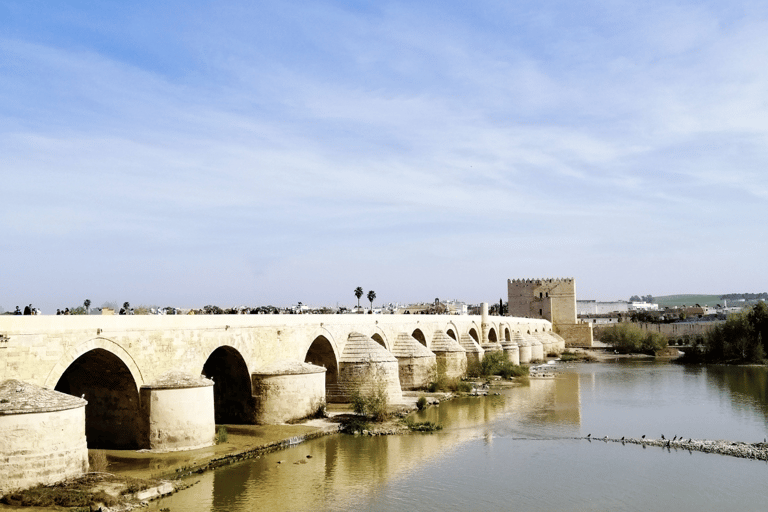 Desde Sevilla: Excursión privada de un día a Córdoba