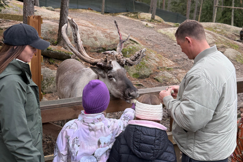 زيارة مزرعة نوكسيو للرنة – تجربة طبيعية خاصة