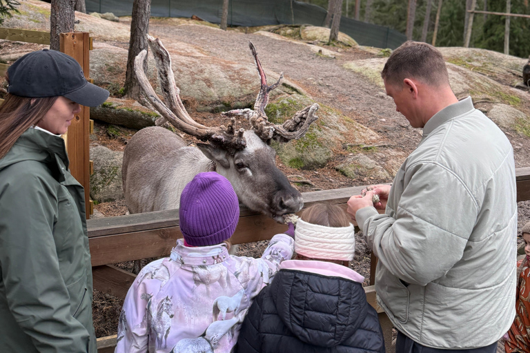 زيارة مزرعة نوكسيو للرنة – تجربة طبيعية خاصة