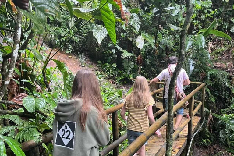 Observación de aves TODO incluido - Desde Medellín