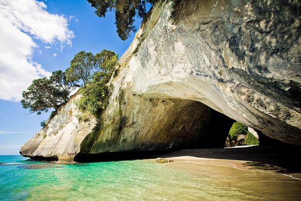 Auckland: Tour di un giorno a Coromandel con Hot Water Beach