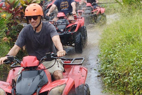 ubud : private tour,atv,rice terrace,waterfalls group of 1-3 person