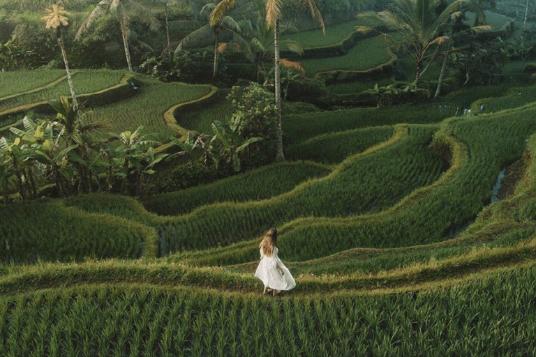 Bali: All-Inclusive Ubud Private Tour with Lunch All-Inclusive Ubud Private Tour with Lunch