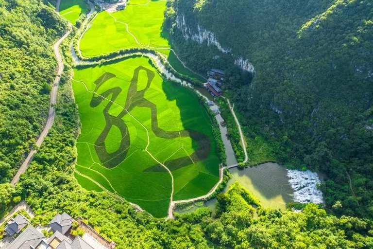 Guizhou: Dragon Palace Tickets & Underground Boat Ride Dragon Palace Cave , Boat Experience & Elevator