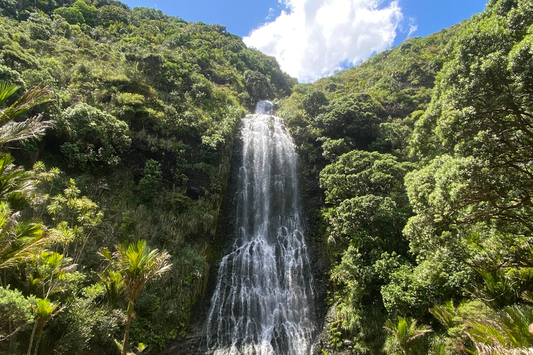 Piha &amp; Karekare - Buiten Auckland PrivétourPrivérondleiding in het Duits