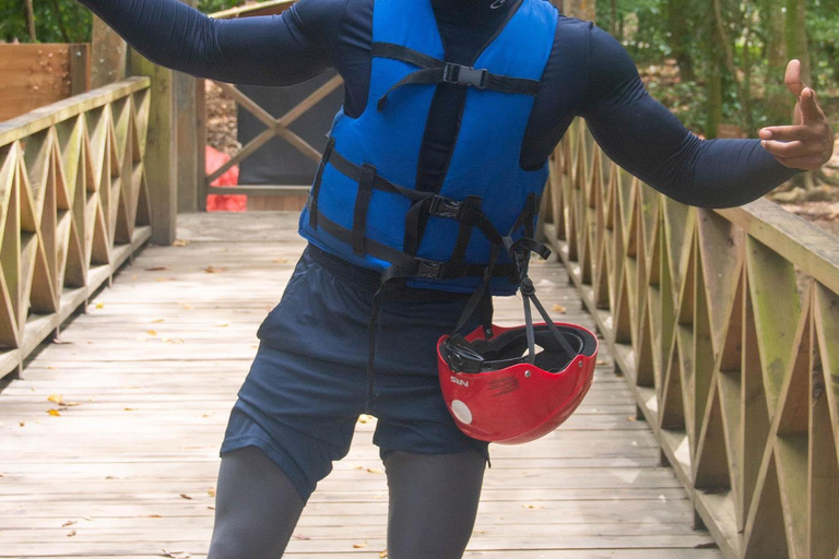 Puerto Plata: Damajagua Waterfall Tour and Artisanal Cocoa Experience