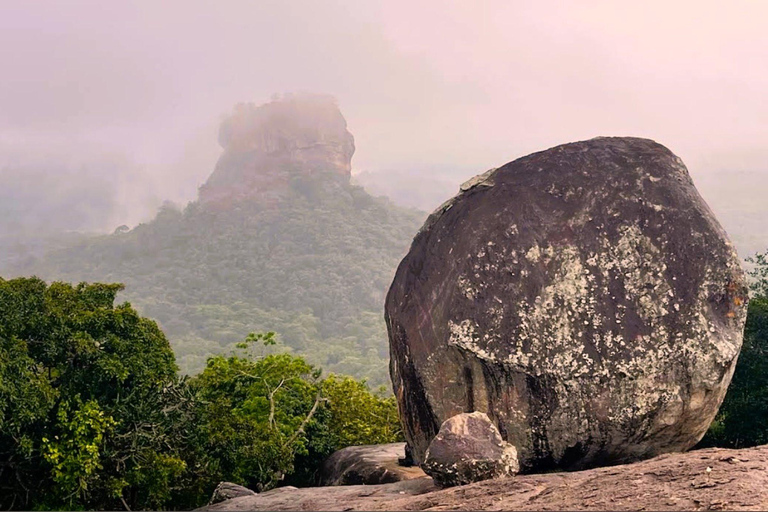 Minneriya National Park Safari & Pidurangala Sunset Hike