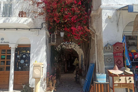 Djerba : excursion d&#039;une demi-journée autour de Djerba