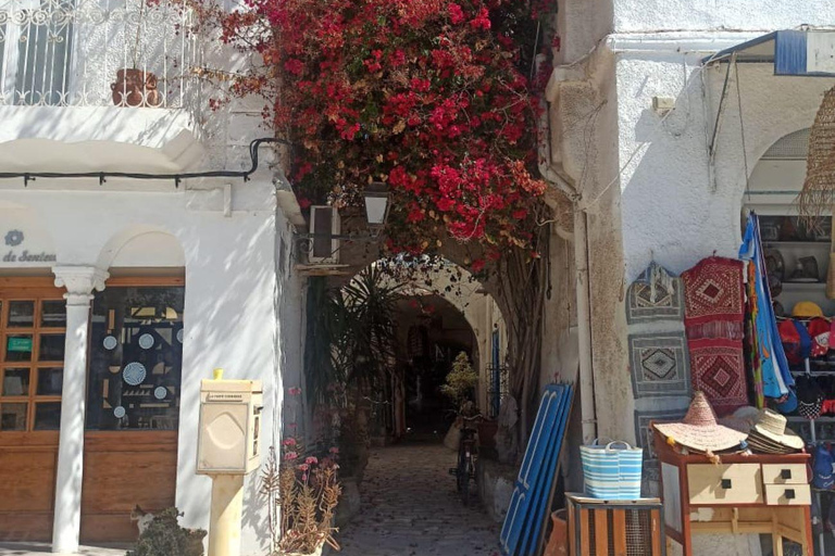 Djerba : excursion d&#039;une demi-journée autour de Djerba