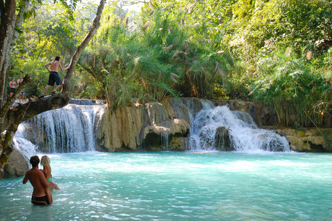 Visit buffalo farm, cooking-class forest, Kuang Si waterfall