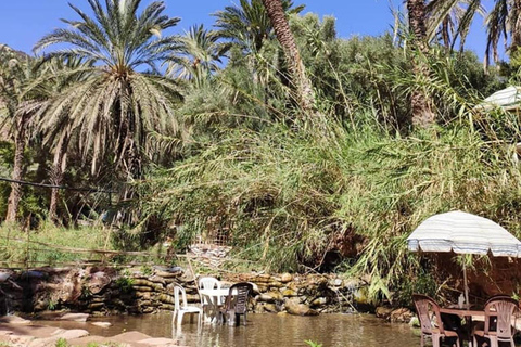 Agadir: Paradise Valley & Imouzzer Waterfall Day Tour