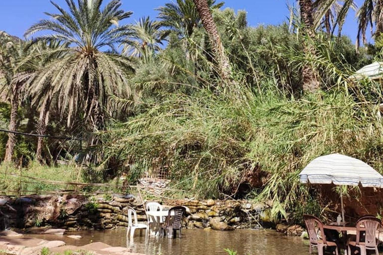 Agadir: Paradise Valley & Imouzzer Waterfall Day Tour