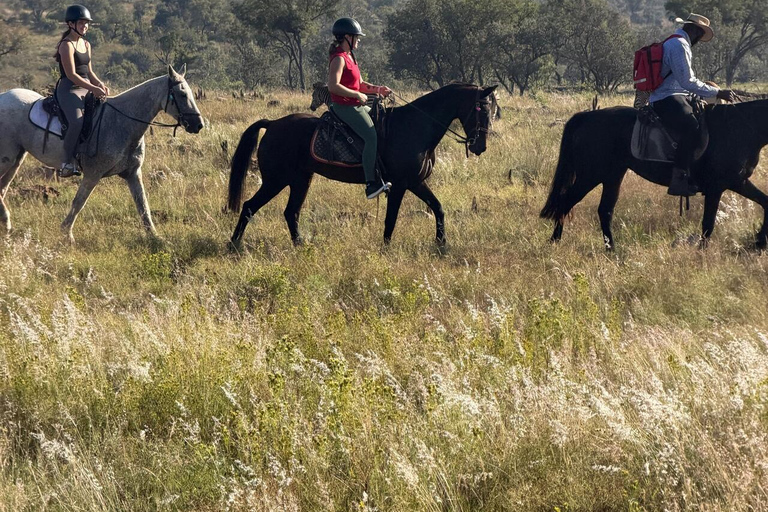 Jozi: Guided Horseback Safari Through African Wildlife