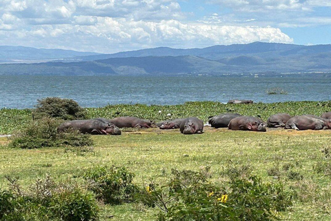 Nairobi:Lake Naivasha, Hell’s Gate & Crescent Island Tour