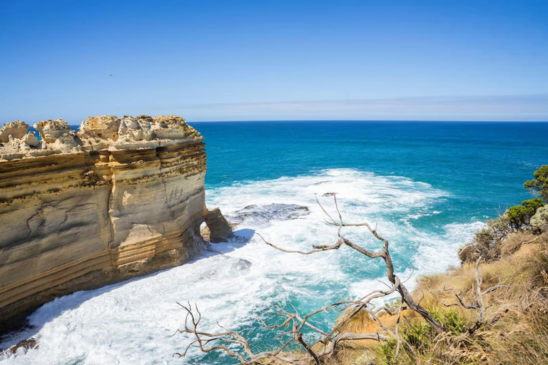 Great Ocean Road Boutique Minibus Reverse Tour & 12 Apostles Minibus Meeting Point Pickup (Max 23 Guests)