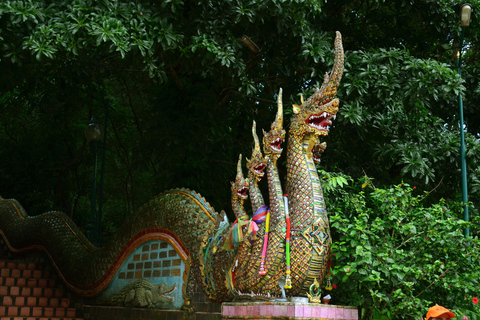 Chiang Mai: 4-timmars rundtur med Doi Suthep, Wat Umong och Wat Phalat