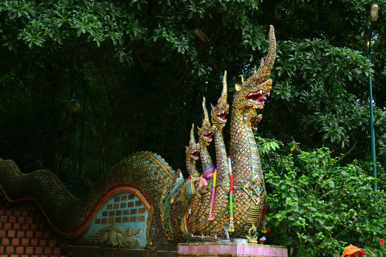 Chiang Mai : 4 heures de visite à Doi Suthep, Wat Umong et Wat Phalat